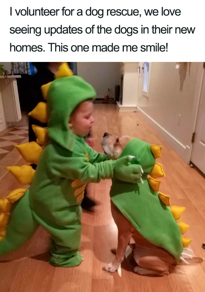 30 Wholesome Dog Posts That Will Hopefully Make Your Day (New Pics)