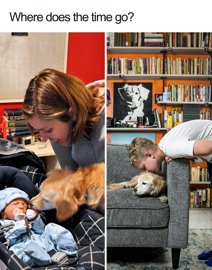 30 Wholesome Dog Posts That Will Hopefully Make Your Day (New Pics)