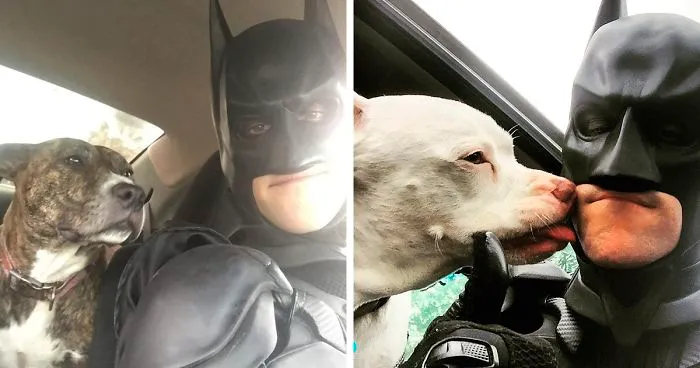 This Guy Dresses Up As Batman To Save Shelter Animals From Euthanasia And Find Them Loving Families