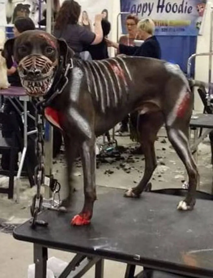 People Are Sharing What Their Dogs Look Like With This Scary Dog Muzzle From Amazon