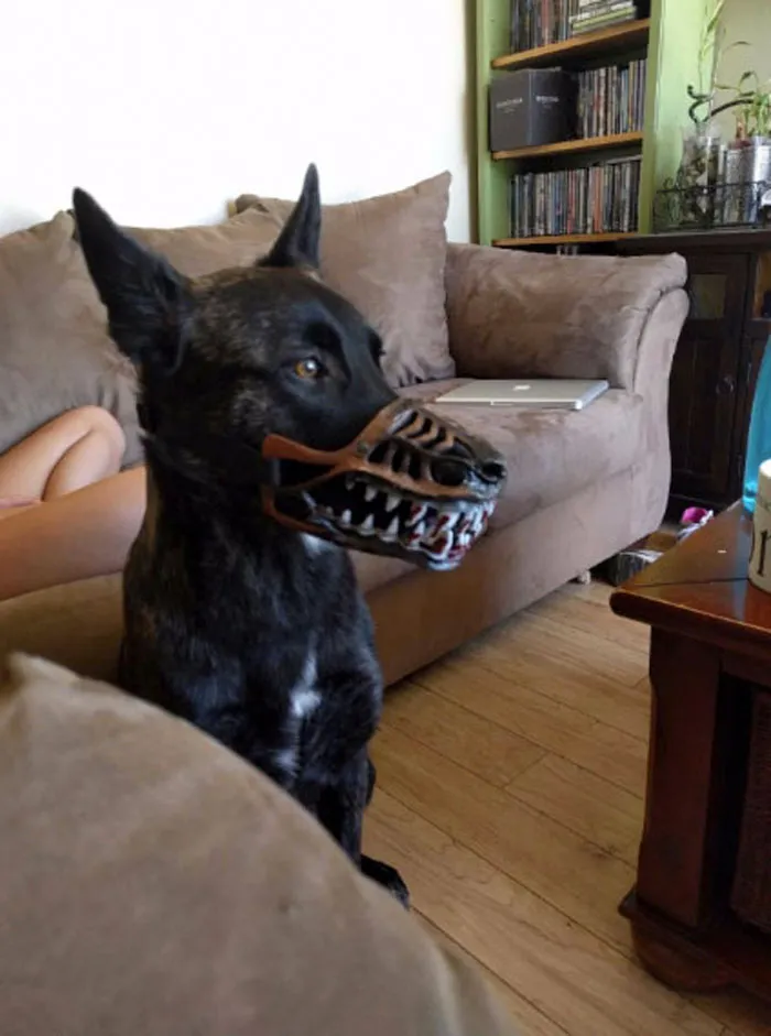 People Are Sharing What Their Dogs Look Like With This Scary Dog Muzzle From Amazon