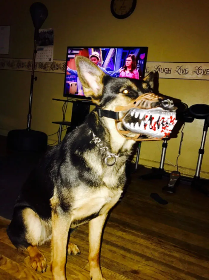 People Are Sharing What Their Dogs Look Like With This Scary Dog Muzzle From Amazon