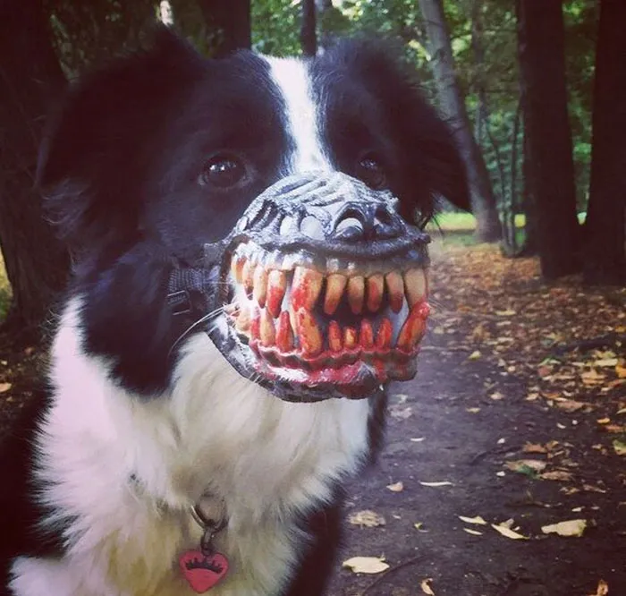 People Are Sharing What Their Dogs Look Like With This Scary Dog Muzzle From Amazon