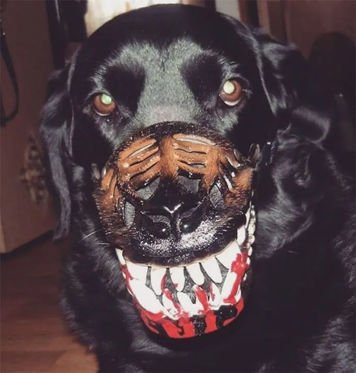 People Are Sharing What Their Dogs Look Like With This Scary Dog Muzzle From Amazon