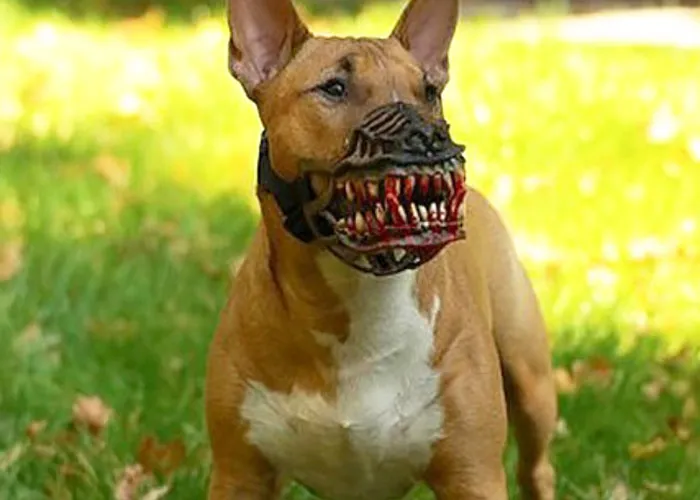 People Are Sharing What Their Dogs Look Like With This Scary Dog Muzzle From Amazon