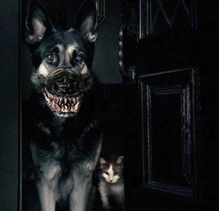 People Are Sharing What Their Dogs Look Like With This Scary Dog Muzzle From Amazon