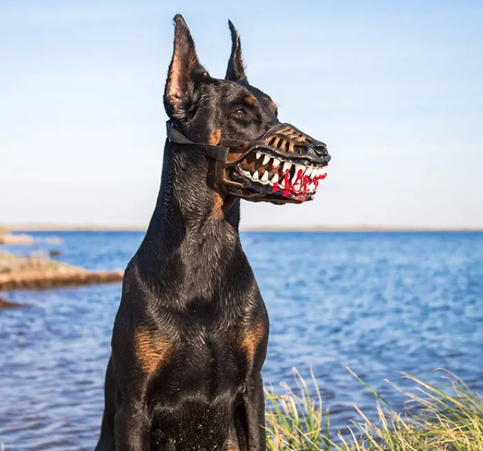 People Are Sharing What Their Dogs Look Like With This Scary Dog Muzzle From Amazon