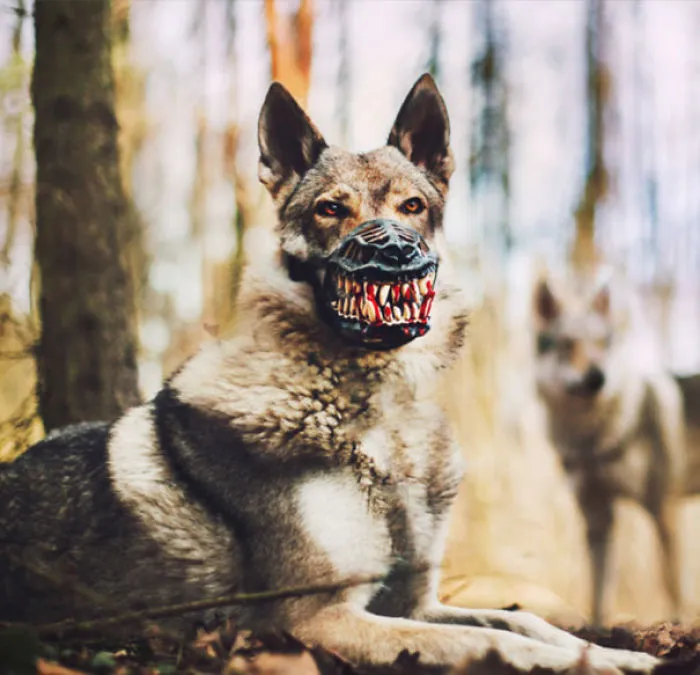 People Are Sharing What Their Dogs Look Like With This Scary Dog Muzzle From Amazon
