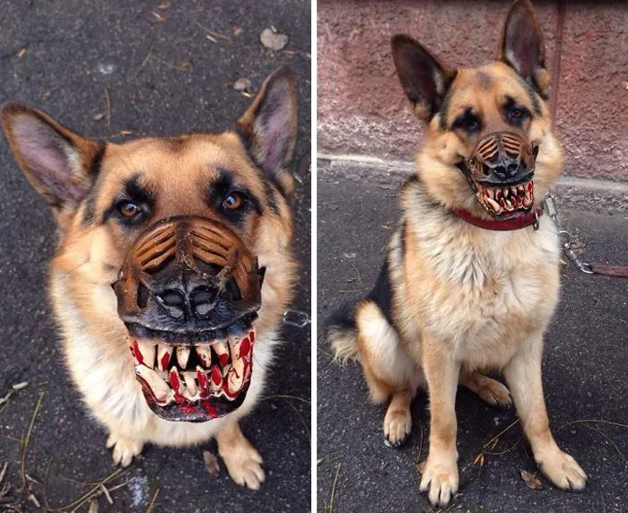 People Are Sharing What Their Dogs Look Like With This Scary Dog Muzzle From Amazon