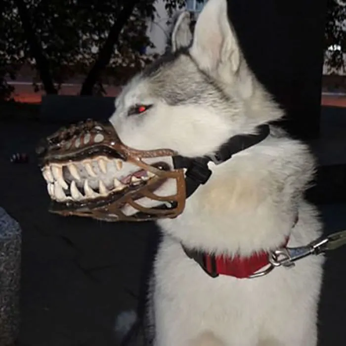 People Are Sharing What Their Dogs Look Like With This Scary Dog Muzzle From Amazon