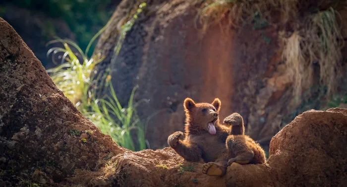We Asked Photographers From All Around The World What ‘Fun’ Meant To Them, And Here Are The Best 30 Entries