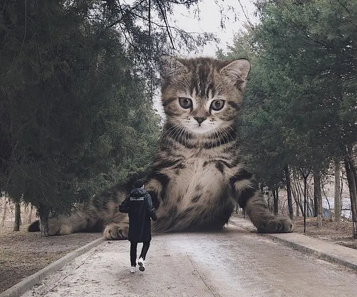 Este artista crea imágenes mostrando cómo sería el mundo si los gatos fueran mucho más grandes (30 imágenes)