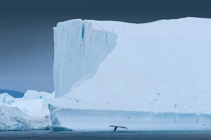 I Captured The ‘Disappearing’ Beauty Of Greenland, And Here's The Result (30 Pics)