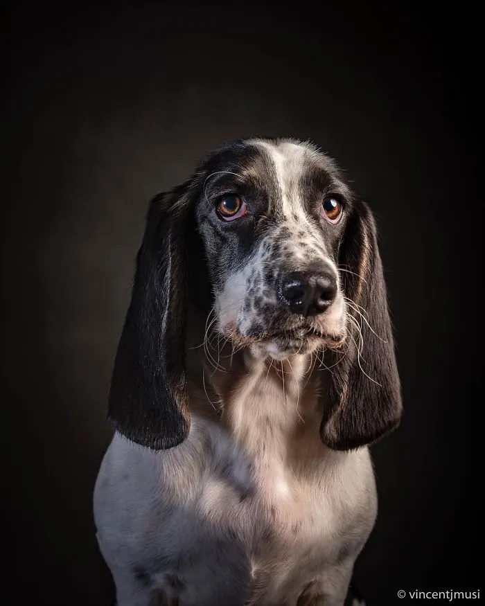 Boo Radley, 2018