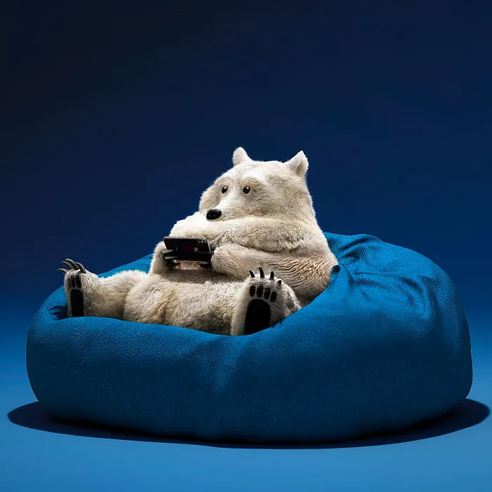 Chinese Artist Creates 20 Pics Of Slothful Animals To Parody How Lazy This Generation Is Becoming