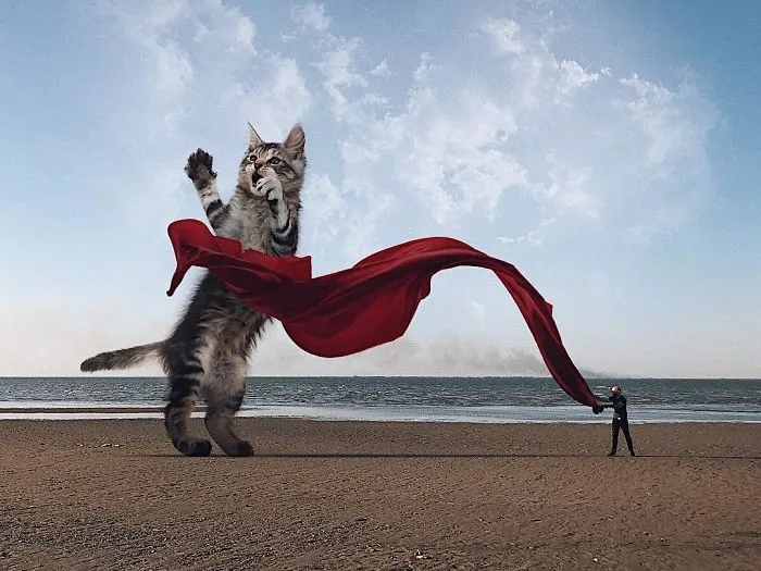Este artista crea imágenes mostrando cómo sería el mundo si los gatos fueran mucho más grandes (30 imágenes)