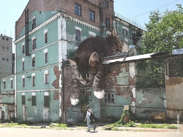 Este artista crea imágenes mostrando cómo sería el mundo si los gatos fueran mucho más grandes (30 imágenes)