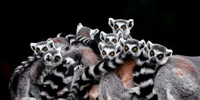 Here Are My 20 Photos That Show How Precious Animals Are