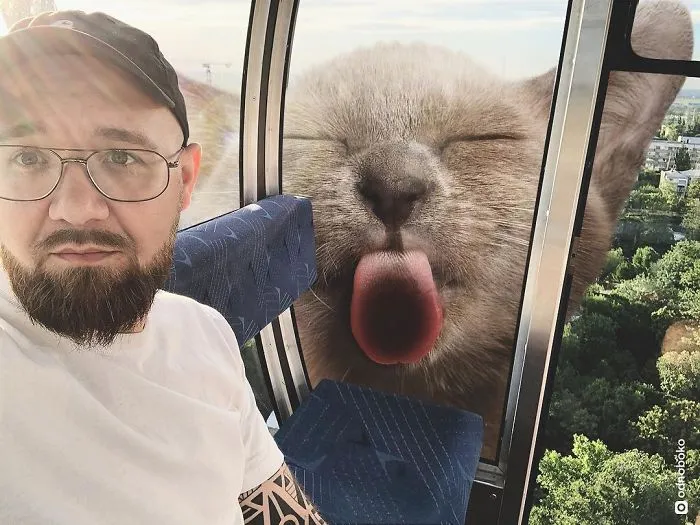 Este artista crea imágenes mostrando cómo sería el mundo si los gatos fueran mucho más grandes (30 imágenes)