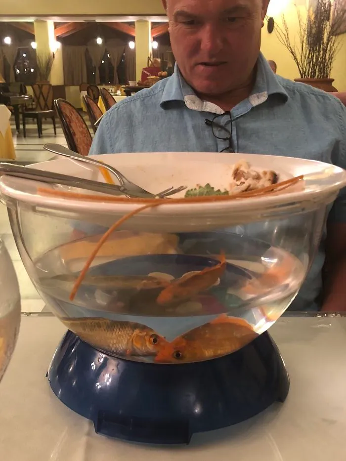 Los peces son tus amigos, esto no se hace