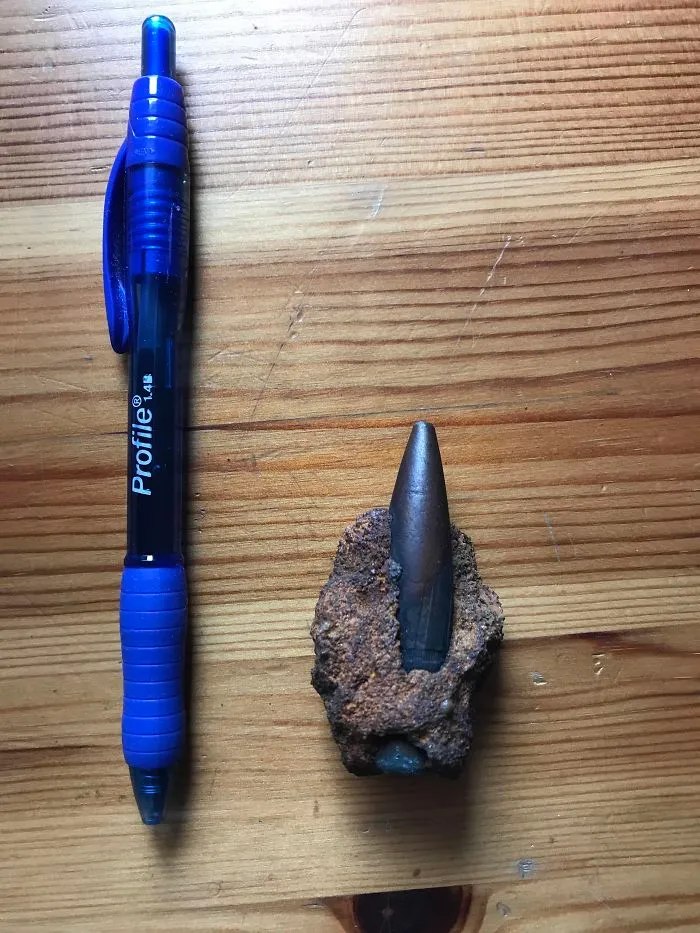 Mom Found This Bullet On The Beach About A Year Ago, How Old Is It And From What Type Of Gun?