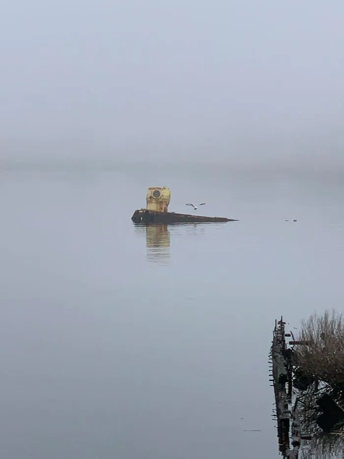 Esto lleva años sumergido en una ensenada cerca de mi casa