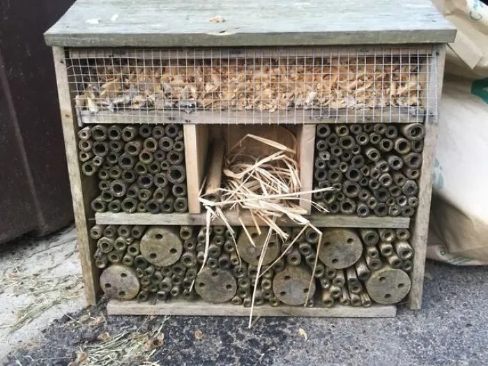 Estructura de madera de unos 30 cms de altura, estaba en la basura