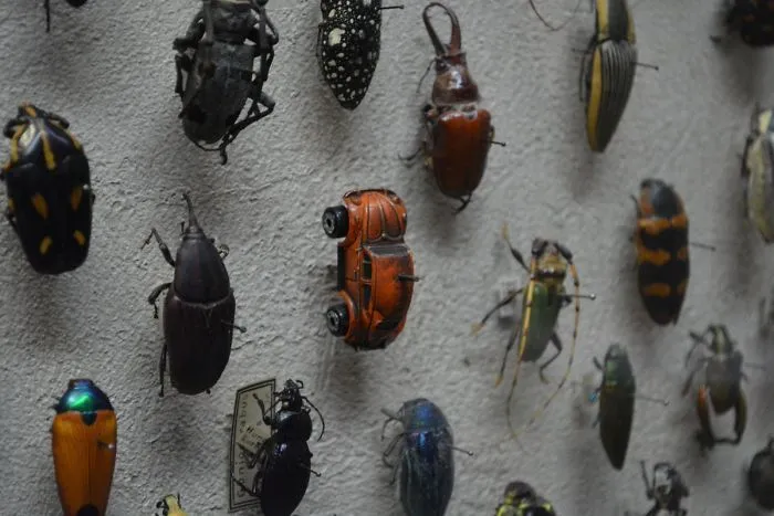 Alguien con sentido del humor en este museo 