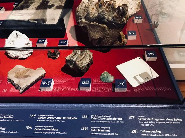 Nuestro museo local ha decidido añadir un disquete a la sección de fósiles
