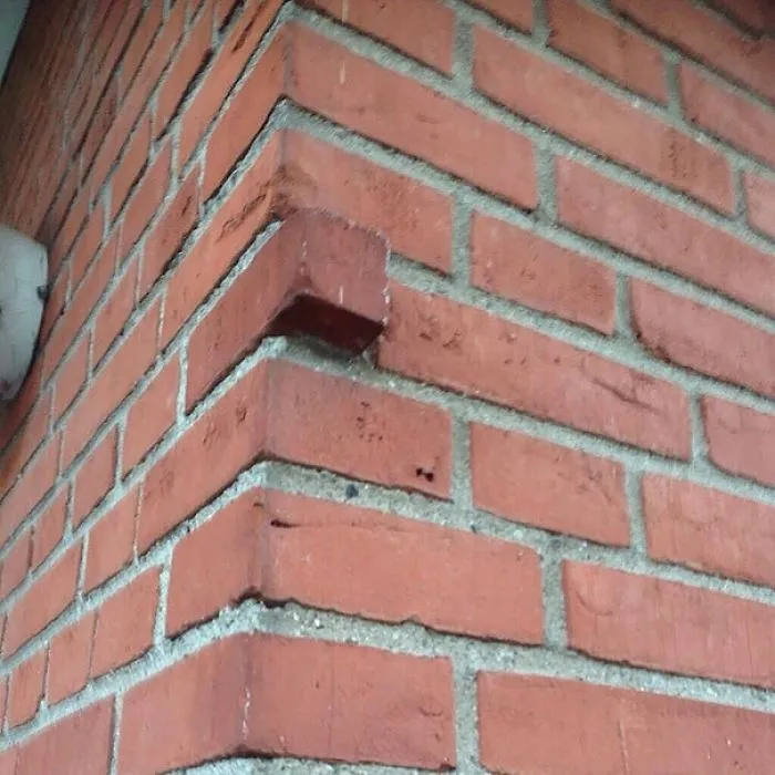 ¿Por qué?