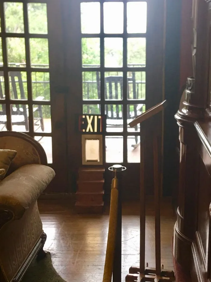 El gerente honorario del Hotel Crescent es un gato, y esta es su puerta