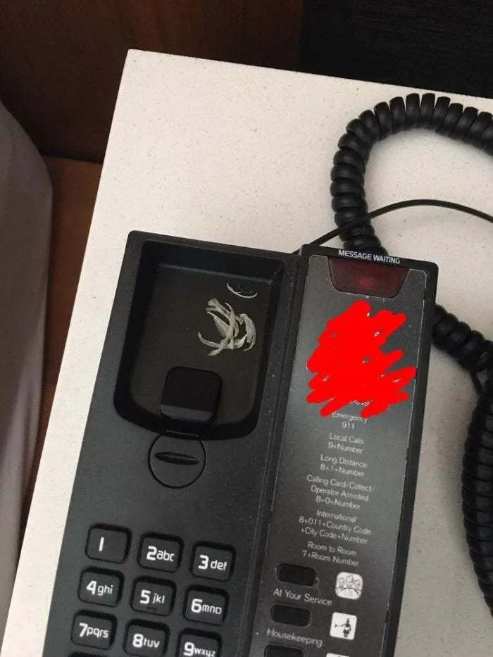 Estaba inspeccionando la habitación y encontré esto
