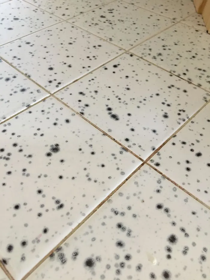 Toda la cocina está cubierta con estos azulejos y su "falso moho"