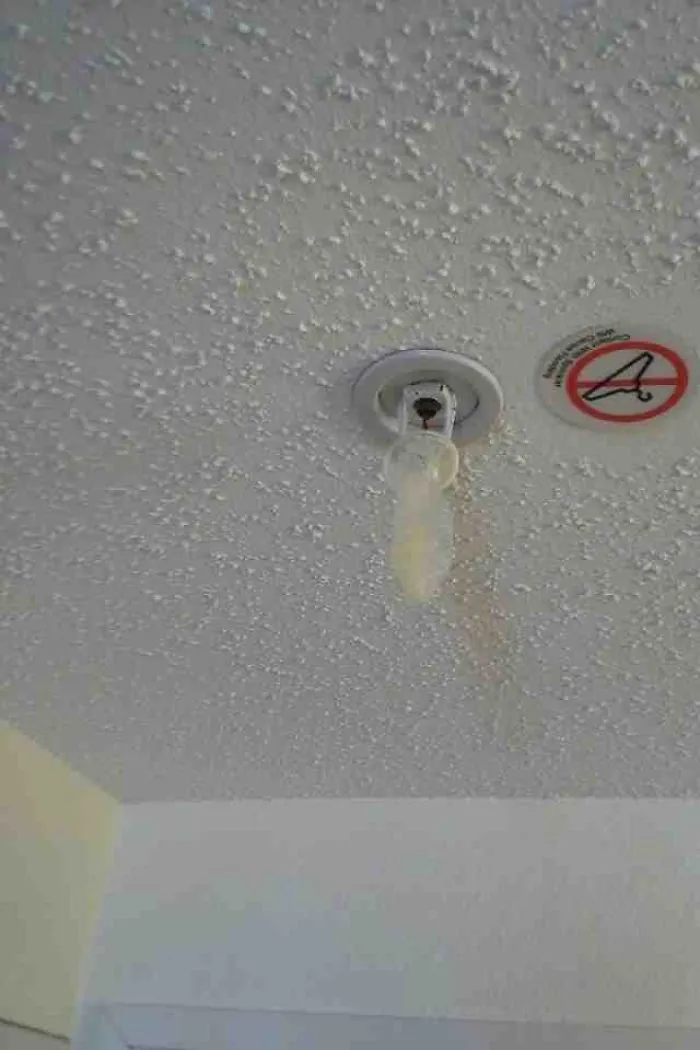 Un empleado de mantenimiento encontró esto colgando de uno de los anti incendios de la habitación
