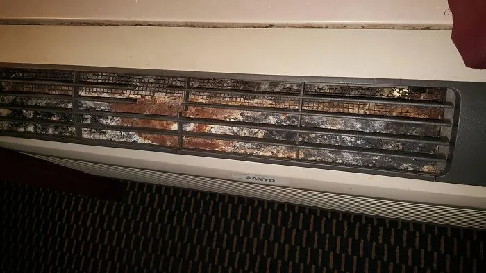 Llegué al hotel, vi esto y me fui