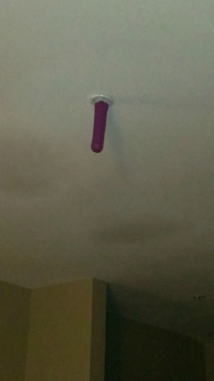 Walked Into My Hotel, And There Happened To Be A Weird Toy Hanging From The Sprinkler