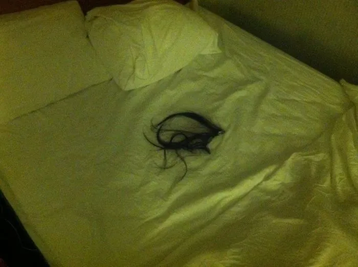 Al meterme en la cama en el hotel he encontrado esto... ¿extensiones de pelo usadas?