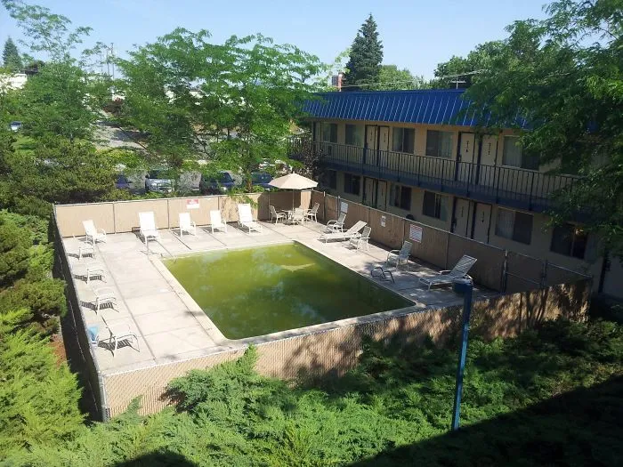This Is The Pool At My Hotel