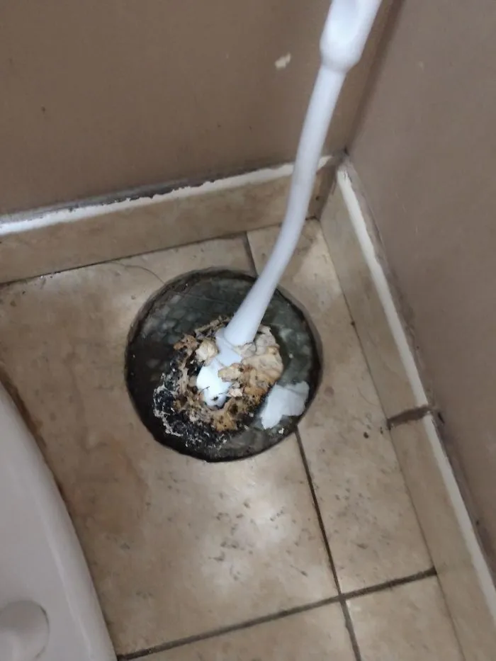 Este cepillo del retrete