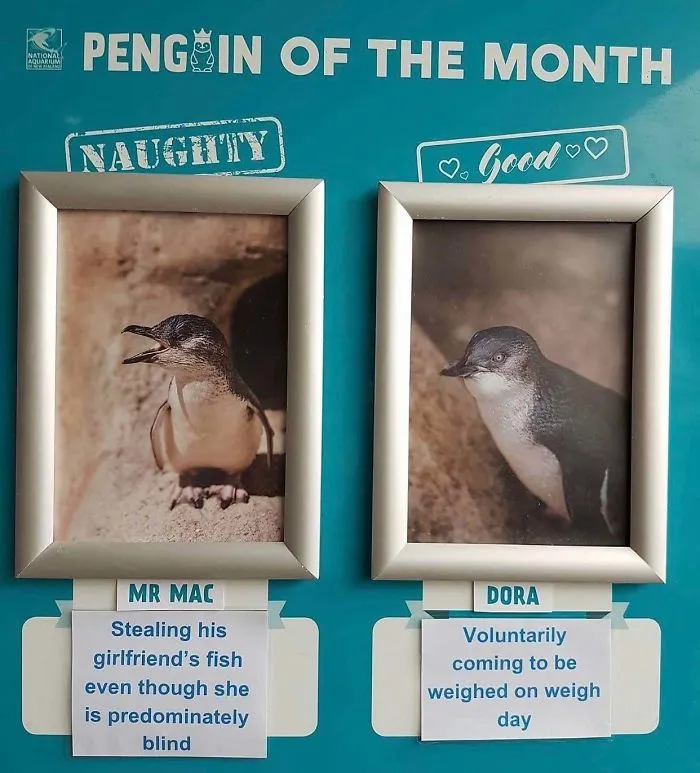 From The National Aquarium Of New Zealand