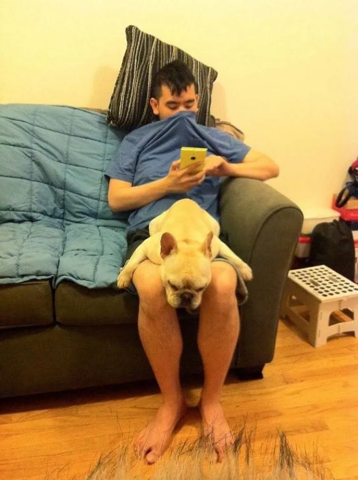 My GF's Dog Likes To Sleep On My Lap And Constantly Fart In My Face...