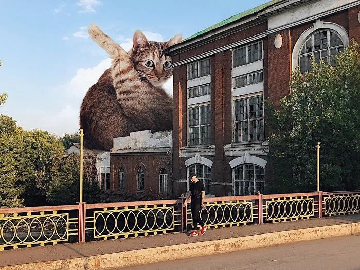 Este artista crea imágenes mostrando cómo sería el mundo si los gatos fueran mucho más grandes (30 imágenes)