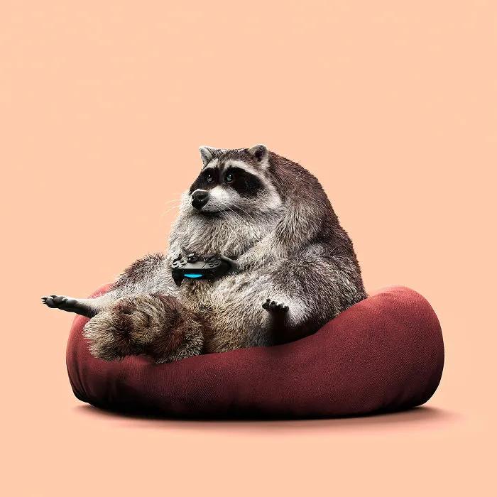 Chinese Artist Creates 20 Pics Of Slothful Animals To Parody How Lazy This Generation Is Becoming