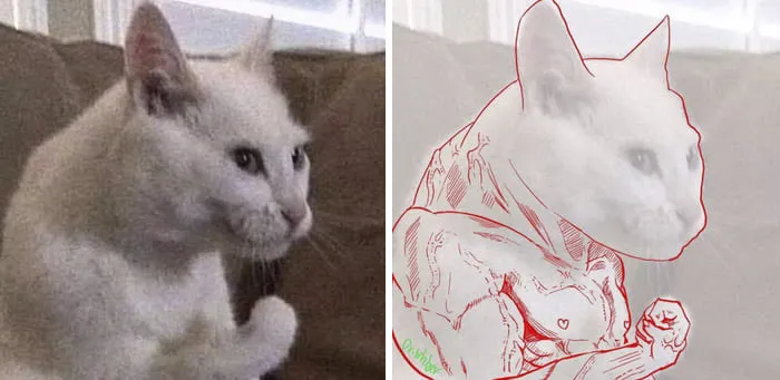 10 Times People Thought They Were Seeing Buff Animals, But They Were Optical Illusions