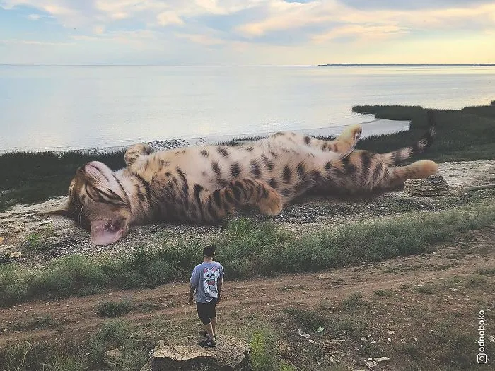 Este artista crea imágenes mostrando cómo sería el mundo si los gatos fueran mucho más grandes (30 imágenes)