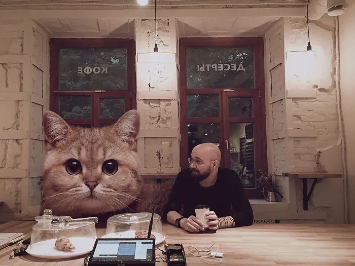 Este artista crea imágenes mostrando cómo sería el mundo si los gatos fueran mucho más grandes (30 imágenes)