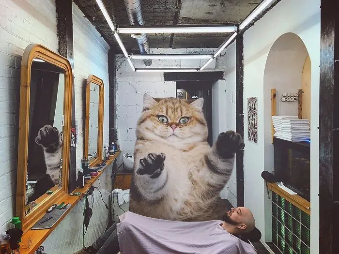 Este artista crea imágenes mostrando cómo sería el mundo si los gatos fueran mucho más grandes (30 imágenes)