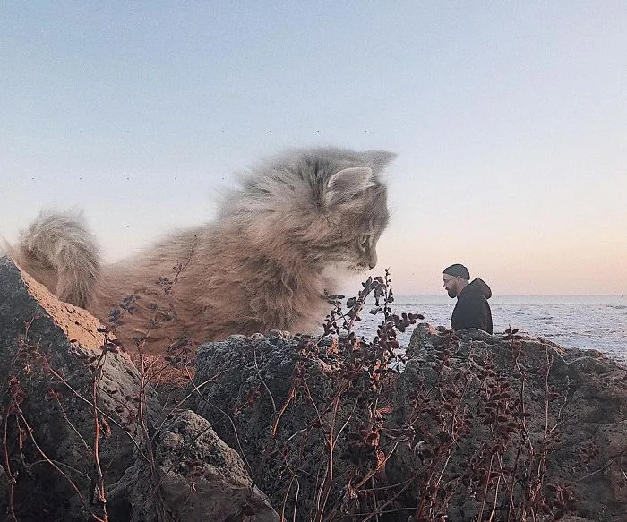 Este artista crea imágenes mostrando cómo sería el mundo si los gatos fueran mucho más grandes (30 imágenes)