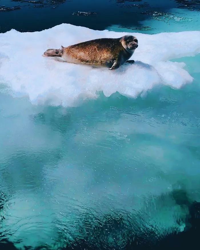 I Went To Baikal, The Deepest And Oldest Lake On Earth To Capture Its Otherworldly Beauty (23 Pics)