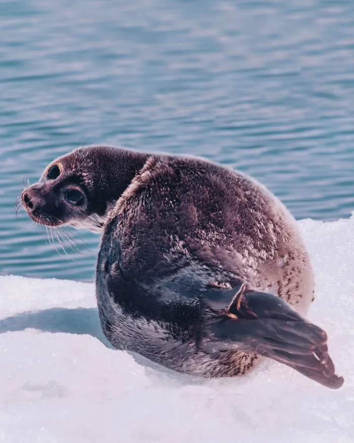 I Went To Baikal, The Deepest And Oldest Lake On Earth To Capture Its Otherworldly Beauty (23 Pics)